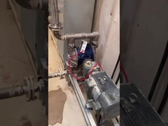 bombas de proceso químicas eléctricas industriales de la bomba de diafragma 100L/min